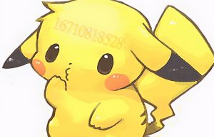 子公司设立流程指南，分公司与子公司的区别