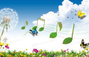 音乐著作权的版权登记需要多少钱？