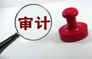 2022审计报告出具费用
