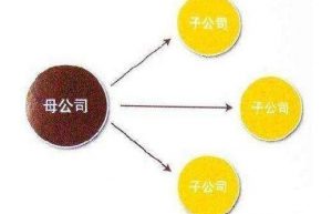 子公司成立的条件是什么?子公司的注册流程是怎样的?