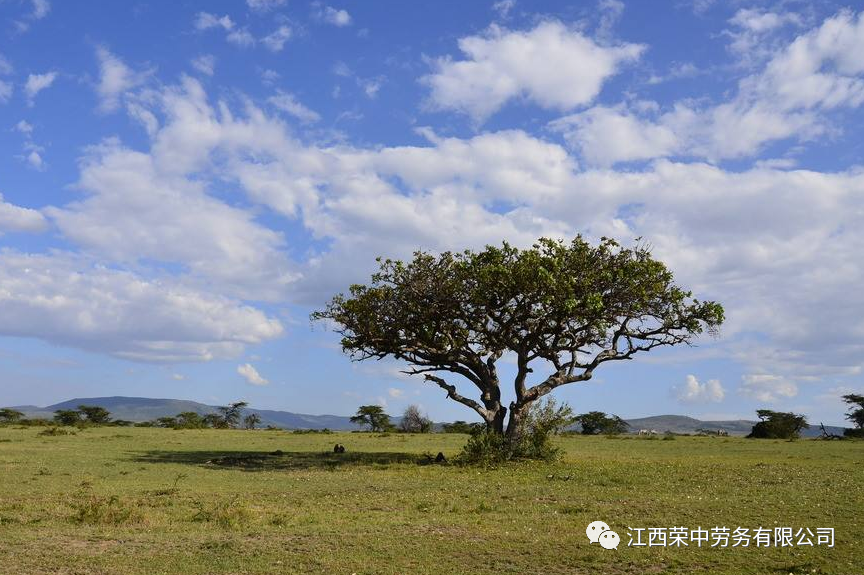 劳务公司怎么注册,需要什么要求 ？