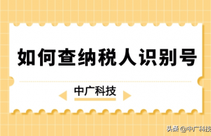 如何查纳税人识别号？相关作用是什么？
