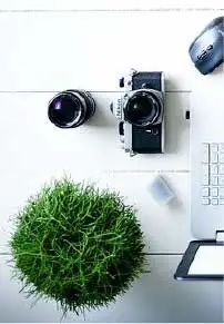 法律顾问 |公司需要缴纳哪些税？