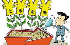 公司上市需要哪些条件？公司上市的流程是怎样的？