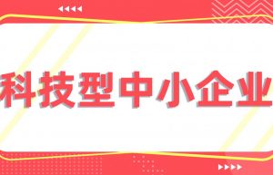 2022年科技型中小企业认定