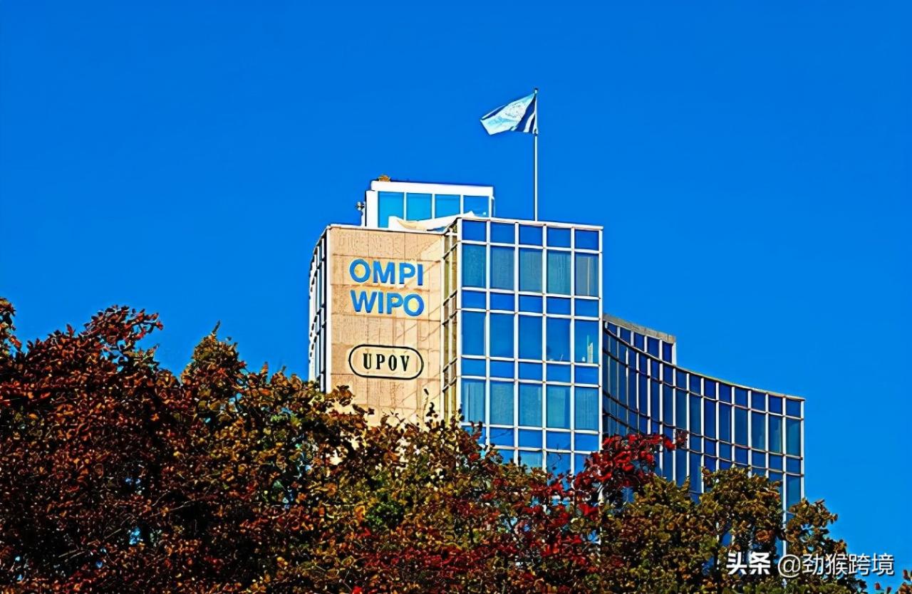 跨境商家申请注册马德里商标要多少钱，办理流程怎么样？