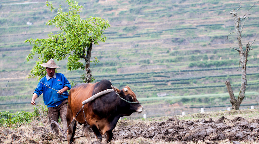 2018年土地使用证去哪里办理