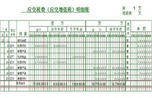 什么是应交增值税及其计算方法