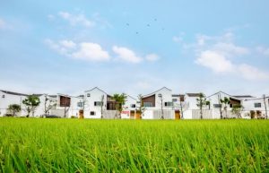 农村土地合作社每亩补多少钱-摄图网