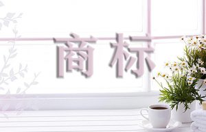 驰名商标应该怎样申请？北瓜网告诉你这样做