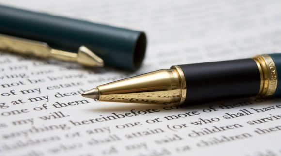 公司经济性质怎么填