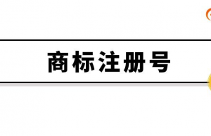 商标注册号是什么？