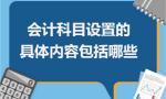 会计科目设置的具体内容包括哪些