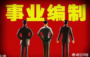 事业单位编制分类