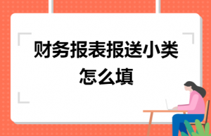 财务报表报送小类怎么填