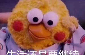 会计实操培训费用大概多少？