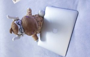 采购商品时，发生的运费应该计入哪个会计科目？