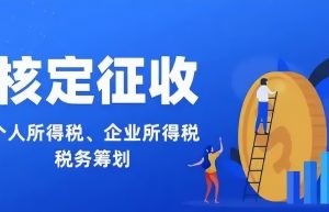 个人所得税的税务筹划方式有哪些？