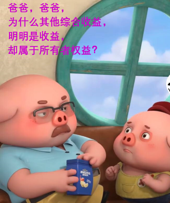 实务角度戏说“其他综合收益”