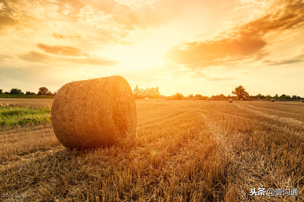 付出后，取得回报和得到收获的区别是什么？懂了才通透