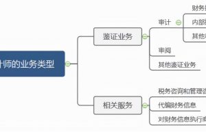 怎么理解合理保证和有限保证