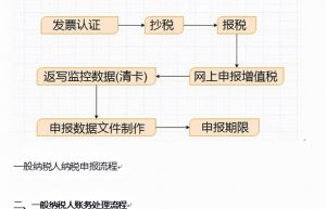 新手会计不懂如何报税？一套标准网上报税流程演示，教你怎么操作