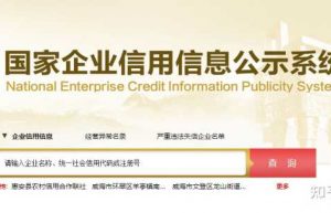 今天最后一天！营业执照年报怎么公示？