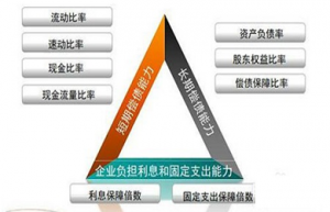 长期偿债能力分析指标包括哪些内容？