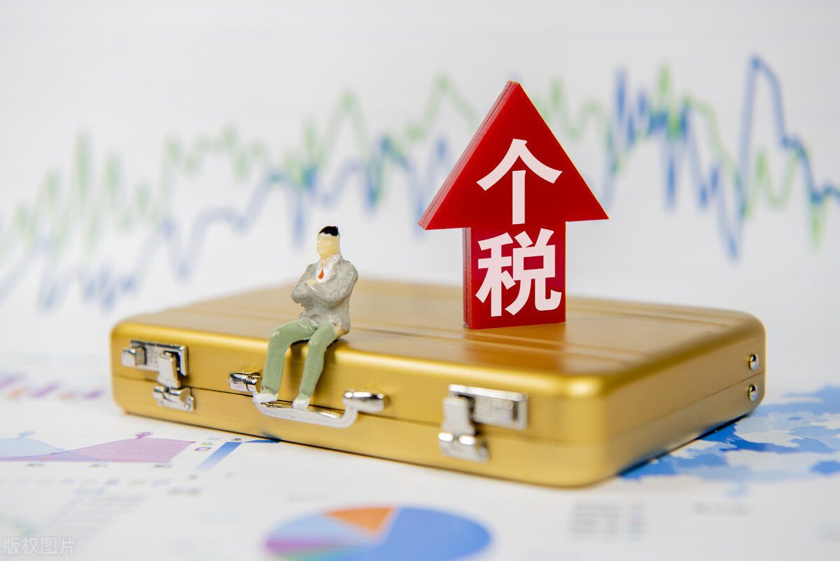 一般纳税人网上怎么报税？