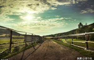 建筑企业从村里租地涉及哪些税种