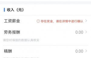 注意了，申报个人所得税填写影响退税或者补税的额度