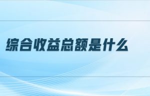 综合收益总额是什么